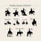 Horse Image Options Barrel Racer, Reiner, Cutter, Roping Horse, Team Roping, Working Cowhorse, Trail, Western Horsemanship, Western Pleasure